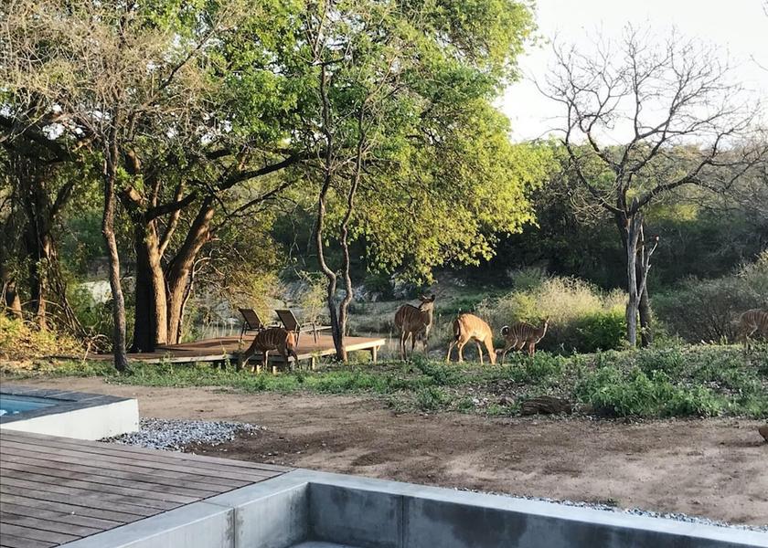 Limpopo Hoedspruit Room