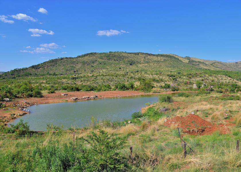 North West Pilanesberg National Park Terrace