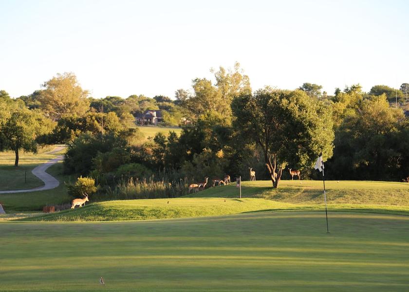 Limpopo Modimolle Exterior Detail