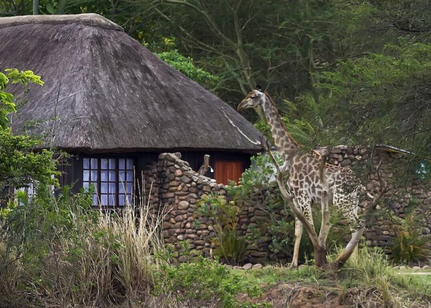 KwaZulu-Natal Ballito Room