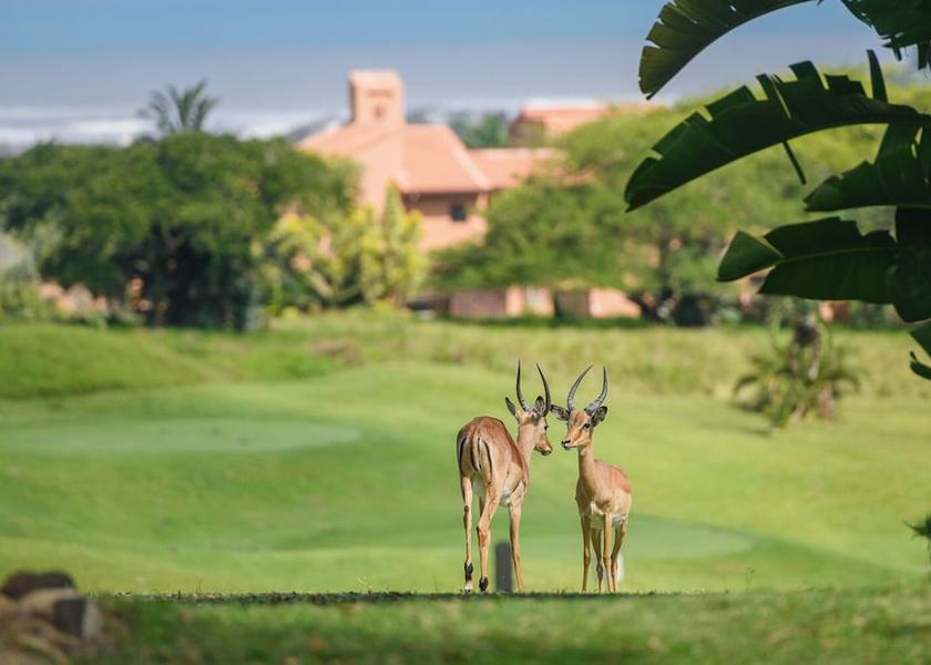 Kwazulu-Natal Southbroom Exterior Detail