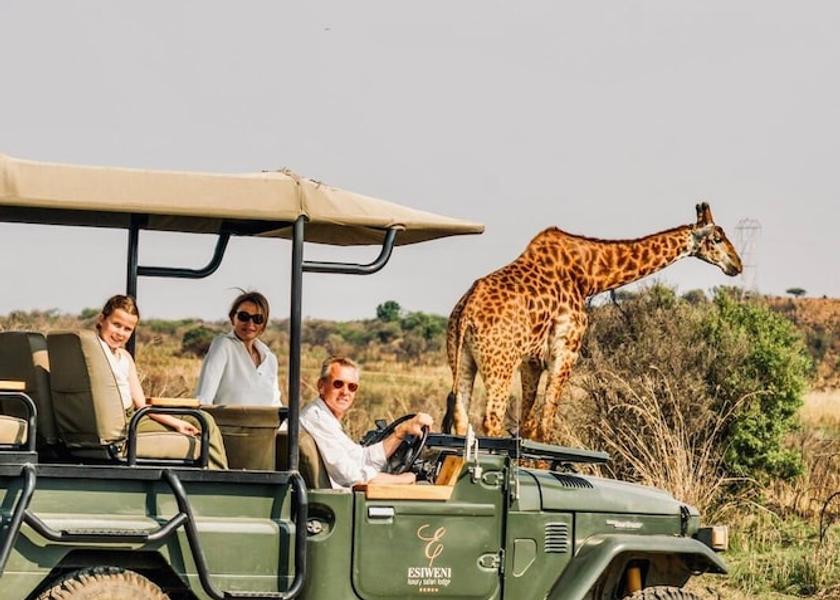 KwaZulu-Natal Ladysmith Game viewing