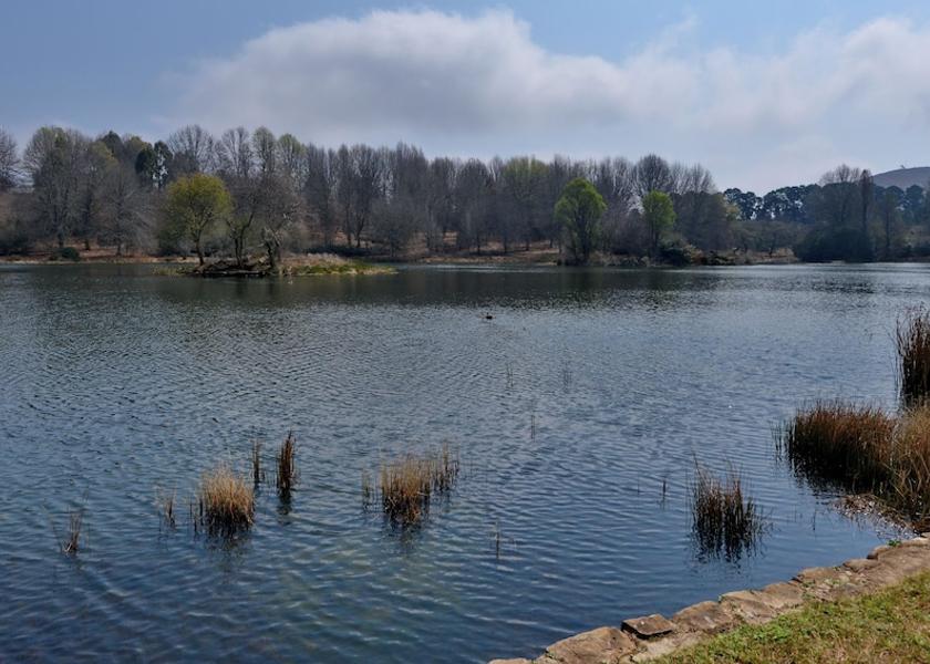 Mpumalanga Dullstroom Exterior Detail