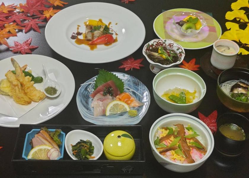 Miyazaki Miyakonojo Standard japanese quadruple