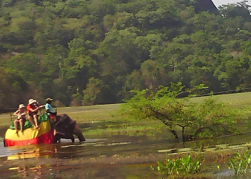 Central Province Sigiriya 