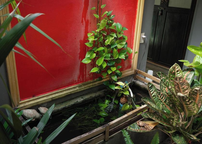 Phuket Province Ratsada Interior