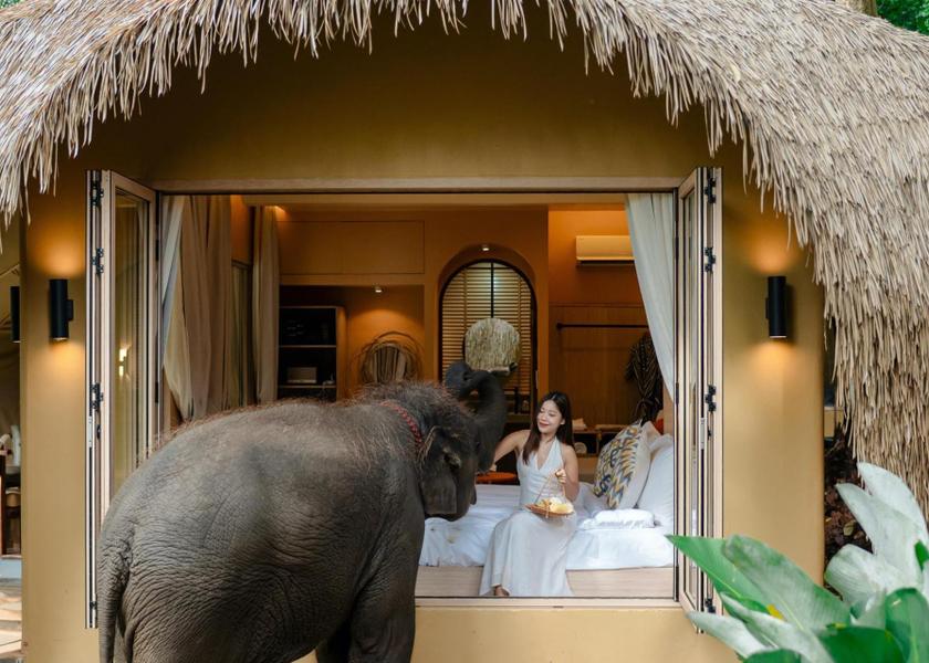 Chiang Mai Province Mae On Deluxe Villa