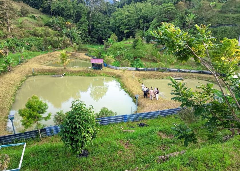 Pahang Bentong surrounding environment