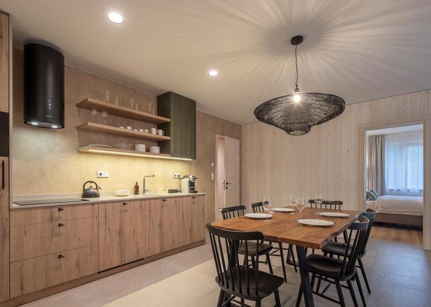 Liberec Region Janov nad Nisou One-Bedroom Family Apartment