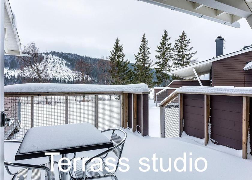 Jamtland County Are Deluxe Double Studio