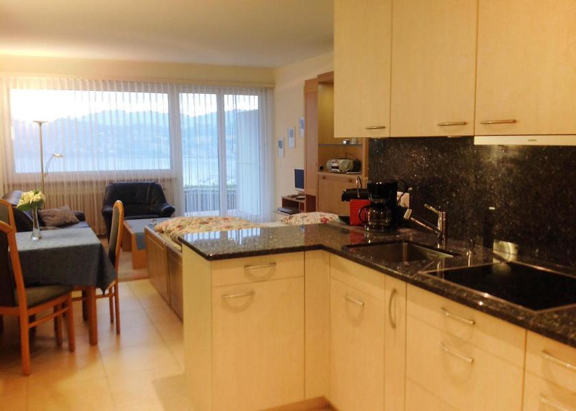 Canton of Ticino Lugano Apartment with Lake View