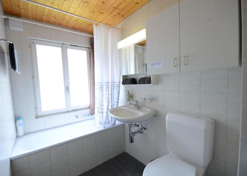 Valais Brig Apartment with Lake View