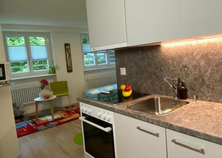 Valais Visp One-Bedroom Apartment