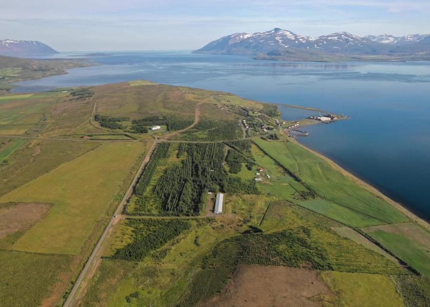 Northeastern Region Hjalteyri surrounding environment