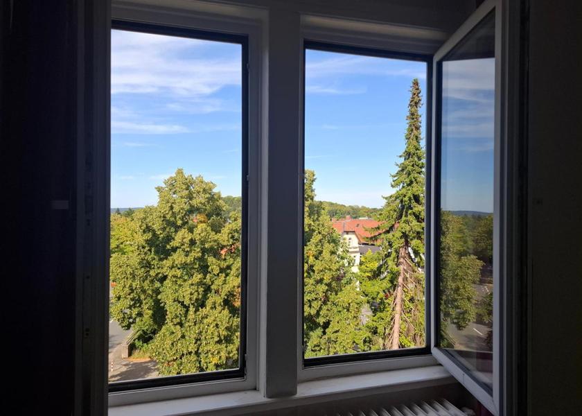 Lower Saxony Goslar Single Room