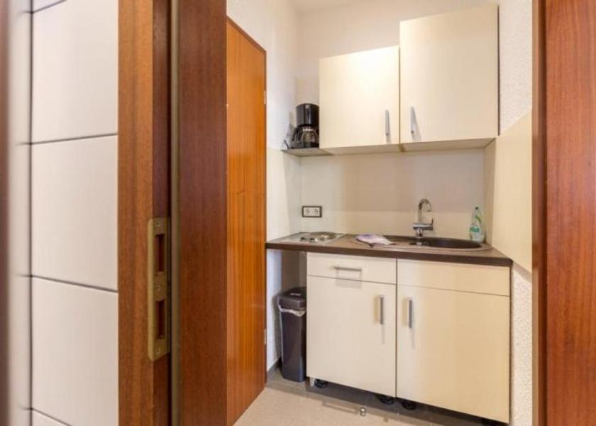 Saxony Leipzig One-Bedroom Apartment