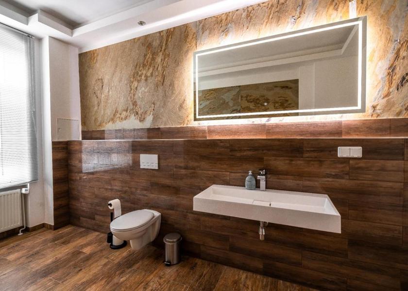 Saxony-Anhalt Halle (Saale) Deluxe Double Room with Shower