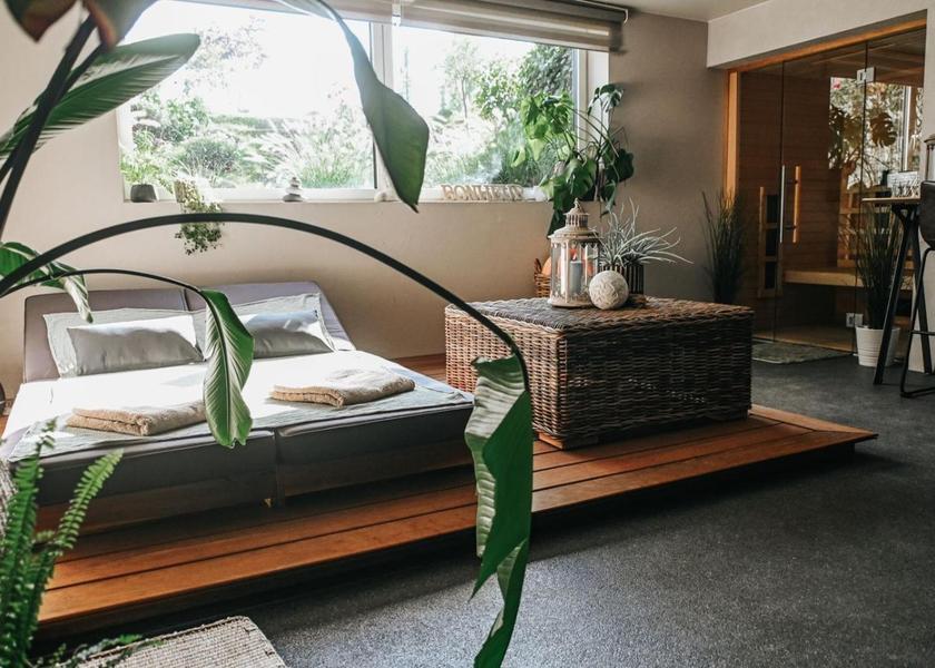 Walloon Region Dinant swimming pool