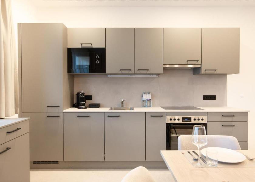 Styria Graz One-Bedroom Apartment with Terrace