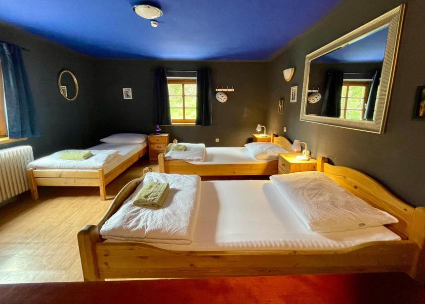 Tyrol Sankt Anton am Arlberg Triple Room with Shared Bathroom