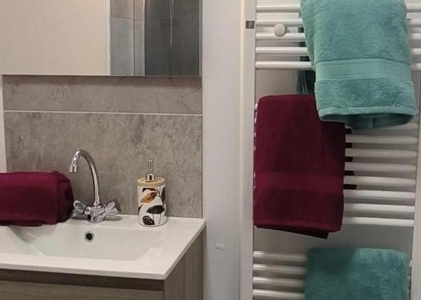 Centre - Loire Valley Vierzon bathroom