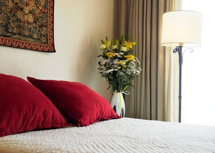 Provence-Alpes-Côte d'Azur Avignon bed