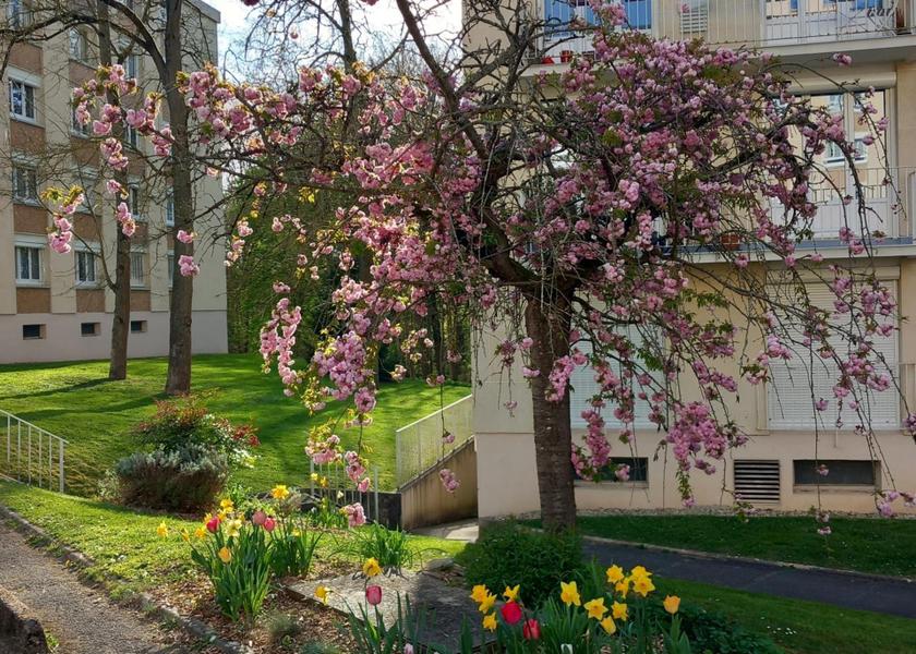 Hauts-de-France Senlis 