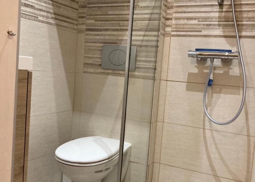 Bourgogne-Franche-Comte Dijon One-Bedroom Apartment