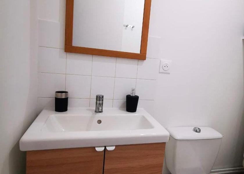 Auvergne-Rhone-Alpes Vienne One-Bedroom Apartment