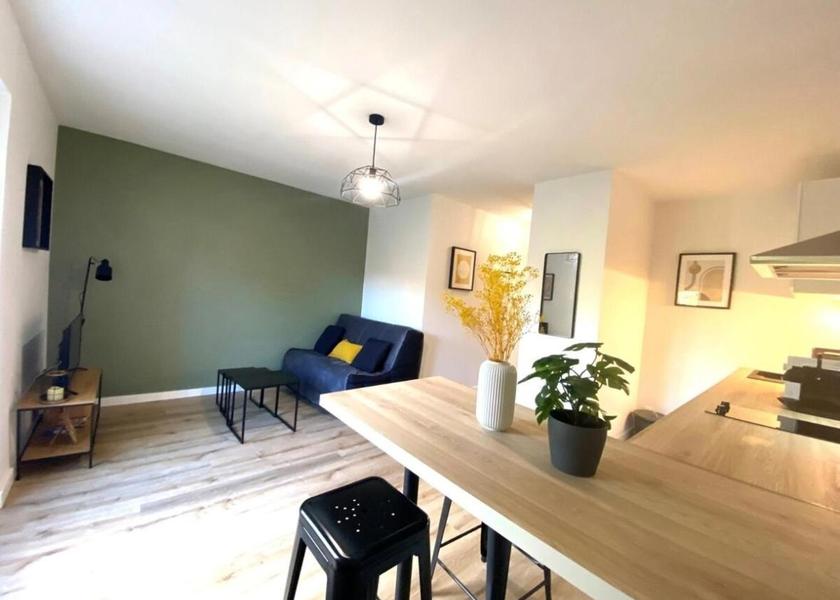 Auvergne-Rhone-Alpes Vienne Apartment