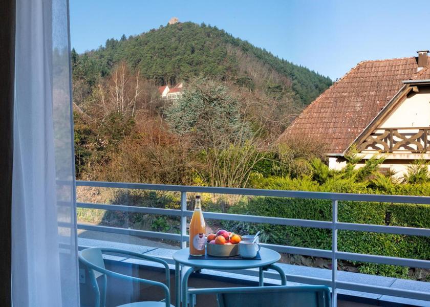 Grand Est Husseren-les-Chateaux Appartement terrasse vue plaine d'Alsace