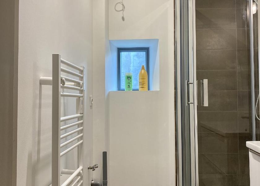 Auvergne-Rhone-Alpes Royat Appartement-Appartement-Vue ville-SDB privée avec douche