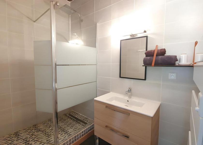 Centre-Loire Valley Cour-Cheverny Triple Room with Shower