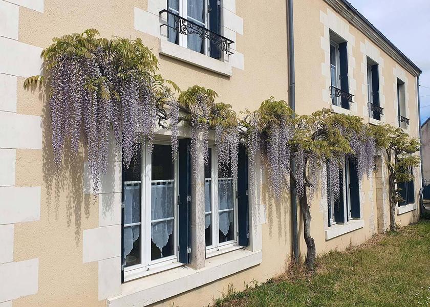 Centre - Loire Valley Cellettes facilities