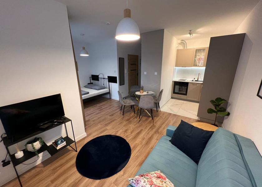 Silesian Voivodeship Katowice One-Bedroom Apartment