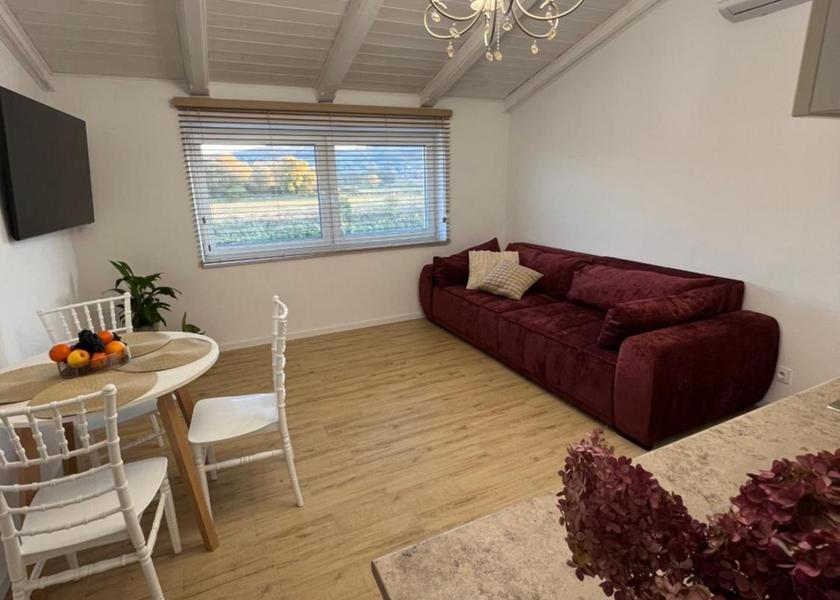 Podkarpackie Voivodeship Przemysl Two-Bedroom Deluxe Apartment with Balcony