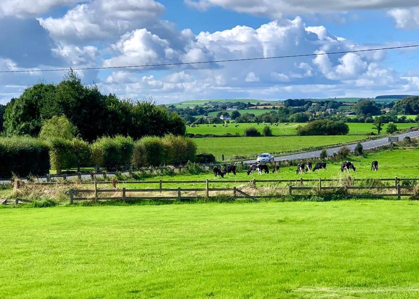 County Wexford Carrigbyrne 