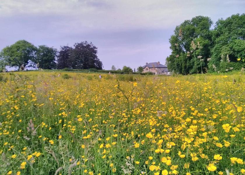 County Meath Kells 