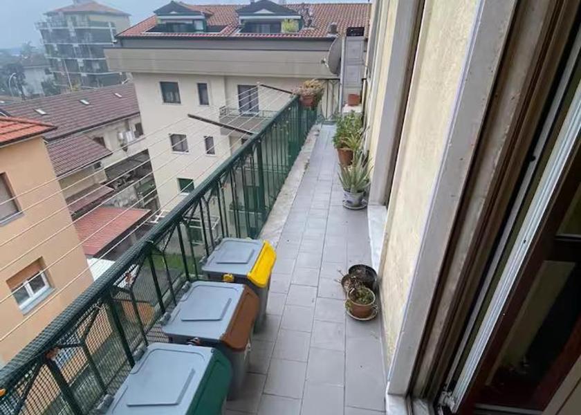 Lombardy Pero 