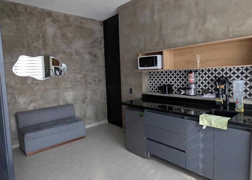 Aguascalientes Aguascalientes One-Bedroom Apartment