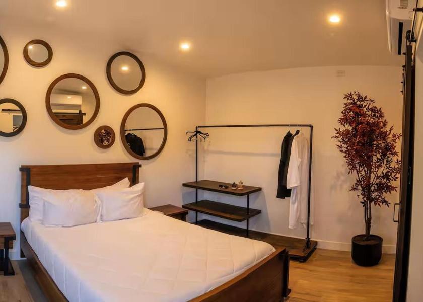 Baja California Vallecitos Queen Suite