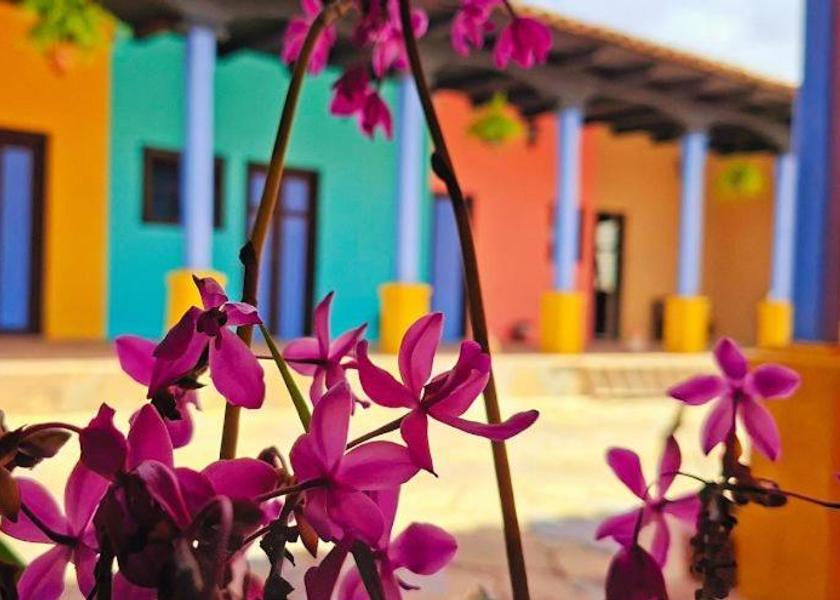Chiapas Comitan de Dominguez Triple Room