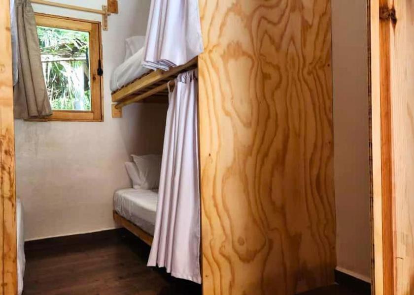 Oaxaca Santa María Tonameca Bed in 8-Bed Mixed Dormitory Room