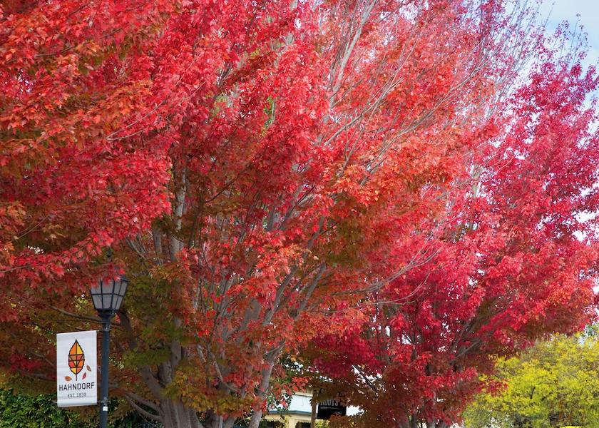 South Australia Adelaide Exterior Detail