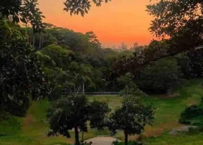 New South Wales Sydney Exterior Detail