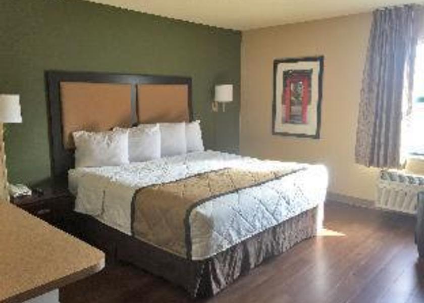 Michigan Auburn Hills Efficiency King Room - Non Smoking/Pet Friendly