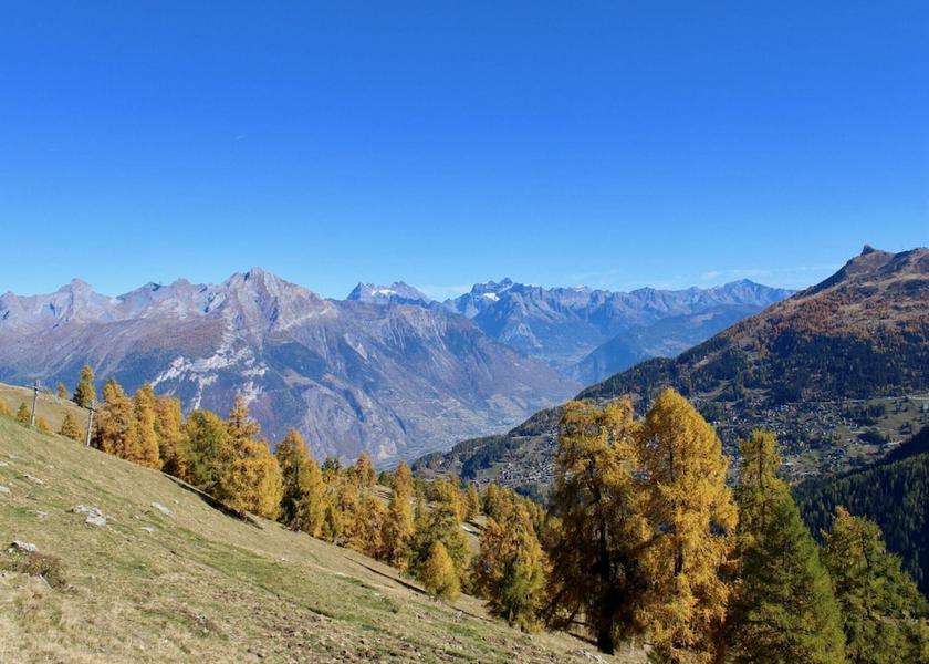 Valais Nendaz View from Property