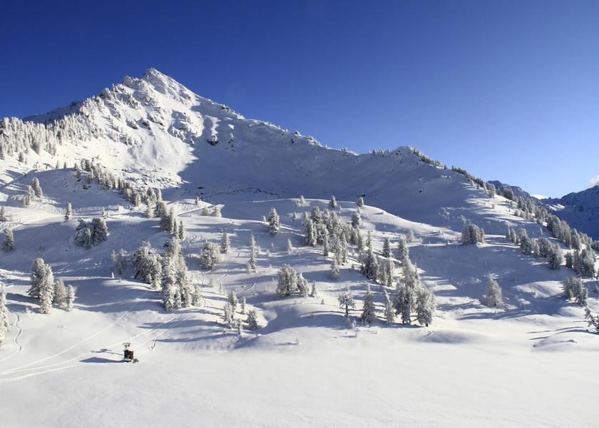 Valais Nendaz View from Property