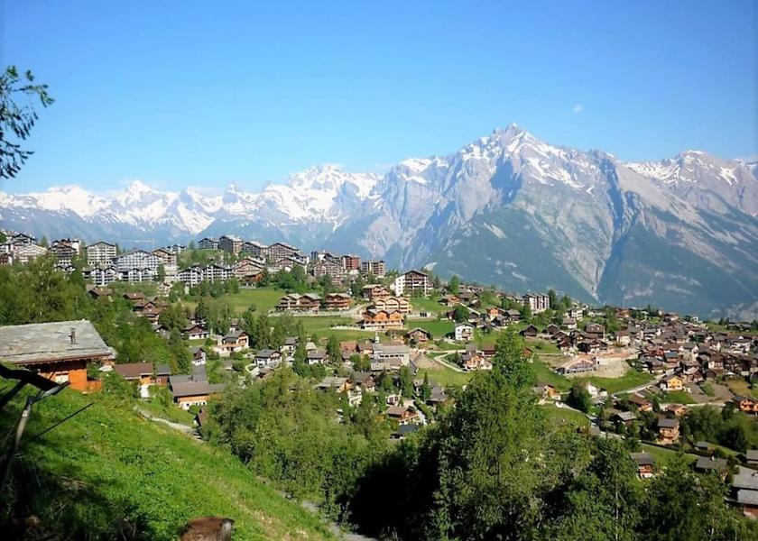 Valais Nendaz Exterior Detail