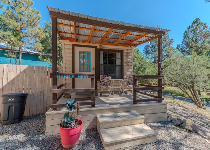 New Mexico Ruidoso Bird's Nest (#7)